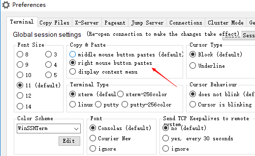 Copy and Paste Settings